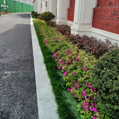 小区花坛绿化