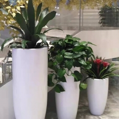 植物租赁